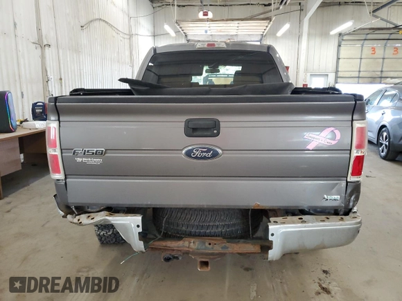 2010 Ford F-150 XL with VIN 1FTFW1EV5AKE16361, listed as a Copart auction lot 49160425 with 125,483 mi miles and Non Repairable. Bid and sale history available at carsss.com. Image 6.