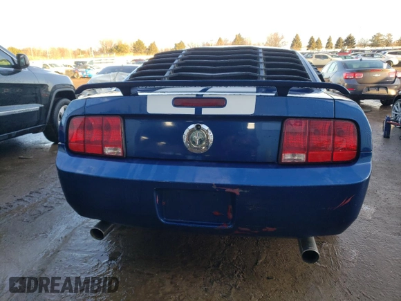 2006 Ford Mustang Standard with VIN 1ZVFT80N065228777, listed as a Copart auction lot 42542475 with 183,337 mi miles and Salvage Title. Bid and sale history available at carsss.com. Image 6.
