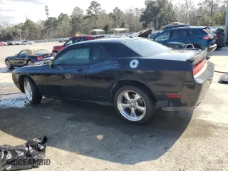 2010 Dodge Challenger R/T with VIN 2B3CJ5DT6AH314925, listed as a Copart auction lot 43913135 with 133,163 mi miles and Salvage Title. Bid and sale history available at carsss.com. Image 2.