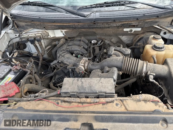 2011 Ford F-150 XL with VIN 1FTMF1CM4BKD89866, listed as a Copart auction lot 49290935 with 198,110 mi miles and Clean Title. Bid and sale history available at DreamBid. Image 7.