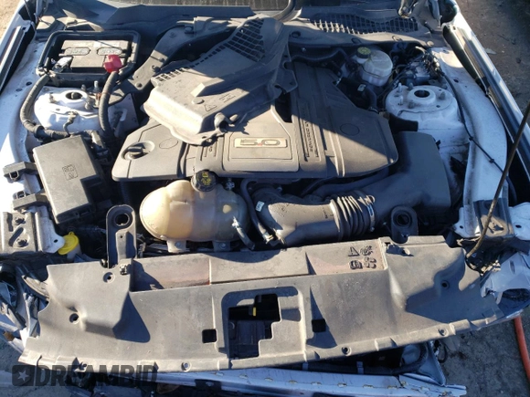 2019 Ford Mustang GT with VIN 1FA6P8CF3K5115062, listed as a Copart auction lot 87448904 with 31,253 mi miles and Salvage title. Bid and sale history available at DreamBid. Image 11.