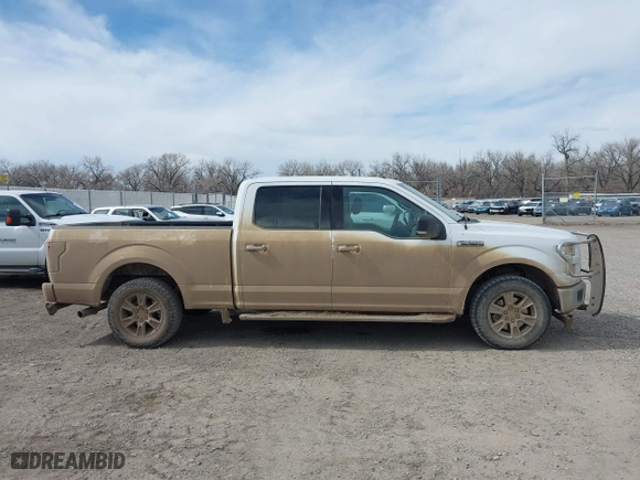 2015 Ford F-150 XLT w/HD Payload Pkg with VIN 1FTFW1EF3FFB70225, listed as a IAAI auction lot 41890185 with 169,564 mi miles. Bid and sale history available at carsss.com. Image 13.