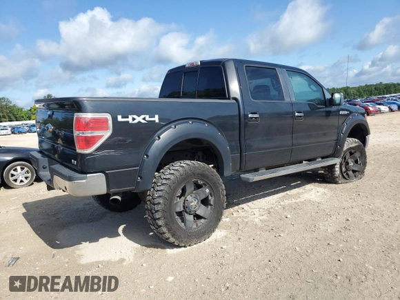 2010 Ford F-150 XL with VIN 1FTFW1EV5AFA57747, listed as a Copart auction lot 58840115 with 178,898 mi miles and Salvage title. Bid and sale history available at DreamBid. Image 3.