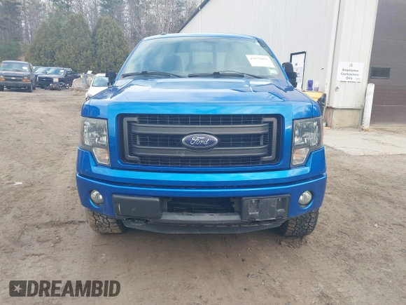 2013 Ford F-150 XL with VIN 1FTFX1ET9DFA33841, listed as a IAAI auction lot 41870005 with 137,911 mi miles and . Bid and sale history available at DreamBid. Image 12.