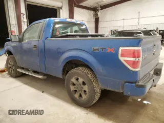 2013 Ford F-150 XL with VIN 1FTMF1CF5DFD02991, listed as a Copart auction lot 46853675 with 127,474 mi miles and Salvage title. Bid and sale history available at DreamBid. Image 2.
