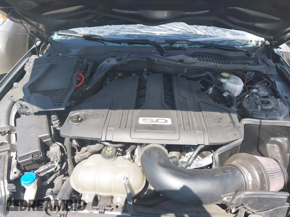 2021 Ford Mustang GT with VIN 1FA6P8CF8M5137349, listed as a IAAI auction lot 41896001 with Not Provided miles. Bid and sale history available at carsss.com. Image 10.