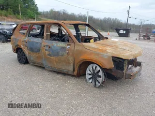 2020 Kia Telluride S with VIN 5XYP6DHC9LG004680, listed as a IAAI auction lot 40351862 with Not Provided miles and . Bid and sale history available at DreamBid. Image 1.
