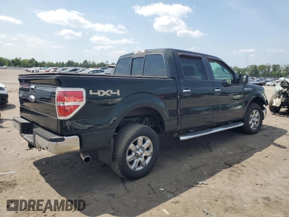 2014 Ford F-150 XL with VIN 1FTFW1ET3EKG39910, listed as a Copart auction lot 61995165 with 139,067 mi miles and Salvage title. Bid and sale history available at DreamBid. Image 3.
