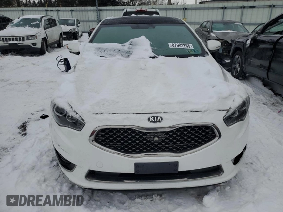 2016 Kia Cadenza Premium with VIN KNALN4D78G5208098, listed as a Copart auction lot 87902265 with 0 mi miles and Clean Title. Bid and sale history available at carsss.com. Image 5.