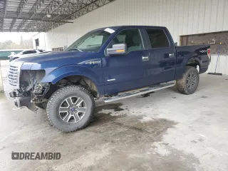 2011 Ford F-150 XLT with VIN 1FTFW1ET2BFB81443, listed as a Copart auction lot 46299165 with 250,287 mi miles and Salvage Title. Bid and sale history available at carsss.com. Image 1.