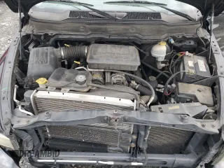2002 Dodge 1500 with VIN 1D7HA16N02J236188, listed as a Copart auction lot 46077995 with 156,493 mi miles and Salvage title. Bid and sale history available at DreamBid. Image 11.