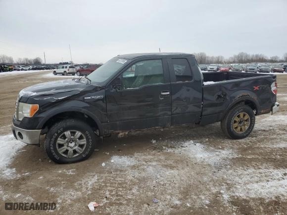 2010 Ford F-150 XL with VIN 1FTEX1E86AFA59090, listed as a Copart auction lot 44212995 with 251,864 mi miles and Clean Title. Bid and sale history available at carsss.com. Image 1.