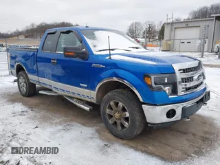 2013 Ford F-150 XL with VIN 1FTFX1ET9DFA00998, listed as a IAAI auction lot 41216058 with 168,995 mi miles. Bid and sale history available at carsss.com. Image 1.
