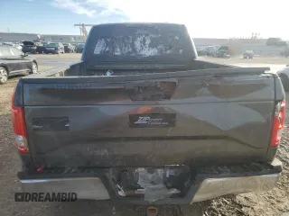 2017 Ford F-150 XL with VIN 1FTEX1CP3HFA43031, listed as a Copart auction lot 89388605 with 176,948 mi miles and Salvage Title. Bid and sale history available at carsss.com. Image 6.
