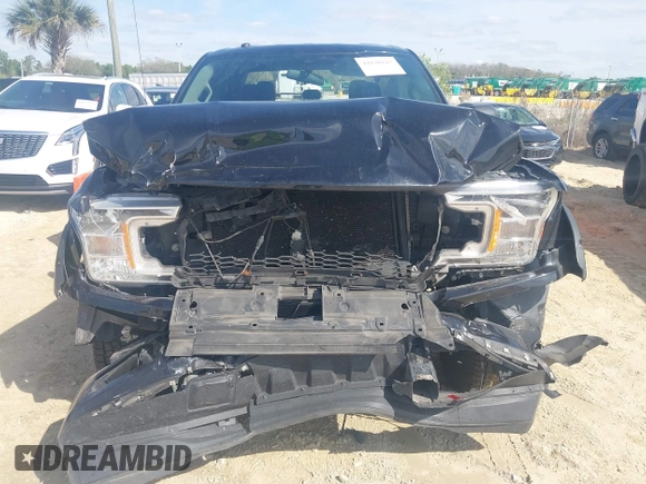 2019 Ford F-150 XL with VIN 1FTEW1C51KFB59272, listed as a IAAI auction lot 41620215 with 132,134 mi miles and . Bid and sale history available at DreamBid. Image 6.