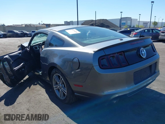 2013 Ford Mustang V6 with VIN 1ZVBP8AM2D5228334, listed as a IAAI auction lot 42164895 with Not provided miles and . Bid and sale history available at DreamBid. Image 3.