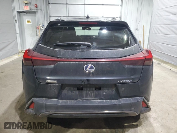 2020 Lexus UX 250h F Sport with VIN JTHR9JBHXL2025565, listed as a Copart auction lot 48895135 with 48,393 mi miles and Salvage title. Bid and sale history available at DreamBid. Image 6.