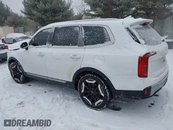 2023 Kia Telluride S with VIN 5XYP6DGC7PG363114, listed as a IAAI auction lot 41260043 with 49,499 mi miles and . Bid and sale history available at DreamBid. Image 3.