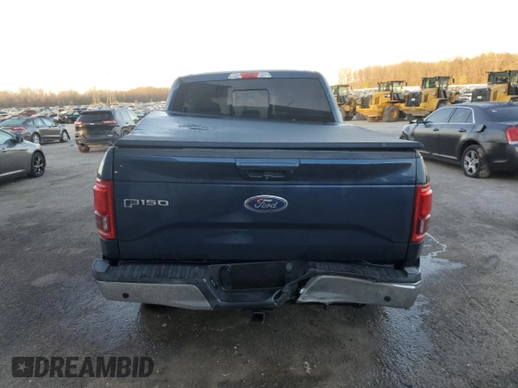2016 Ford F-150 XL z VIN 1FTEW1CG7GKF52466, wystawiony jako Copart lot #48965965 z przebiegiem 137 251 mil mil oraz Szkoda całkowita • Salvage title. Historia ofert i sprzedaży dostępna na DreamBid. Obrazek 6.