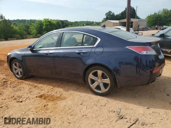 2009 Acura TL Technology z VIN 19UUA86549A009566, wystawiony jako Copart lot #54732455 z przebiegiem 248 257 mil mil oraz Szkoda całkowita • Salvage title. Historia ofert i sprzedaży dostępna na DreamBid. Obrazek 2.