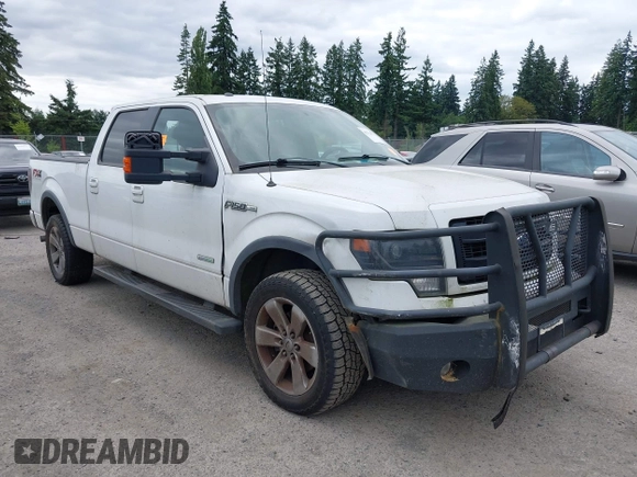 2013 Ford F-150 XL with VIN 1FTFW1ET5DFC35580, listed as a IAAI auction lot 42738713 with 209,492 mi miles and . Bid and sale history available at DreamBid. Image 1.
