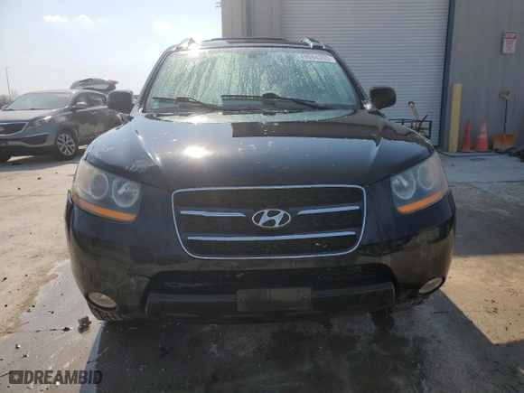2008 Hyundai Santa Fe SE with VIN 5NMSH13E58H221121, listed as a Copart auction lot 49084395 with 193,910 mi miles and Salvage Title. Bid and sale history available at carsss.com. Image 5.