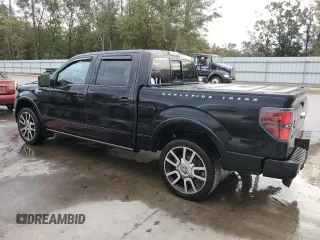 2010 Ford F-150 with VIN 1FTEW1CV0AFB54367, listed as a Copart auction lot 78797254 with 220,357 mi miles and Salvage title. Bid and sale history available at DreamBid. Image 2.