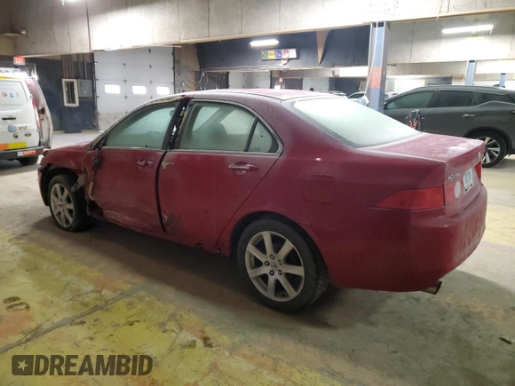 2004 Acura TSX w/Navigation with VIN JH4CL96994C003450, listed as a Copart auction lot 42313185 with 216,477 mi miles and Salvage Title. Bid and sale history available at carsss.com. Image 2.