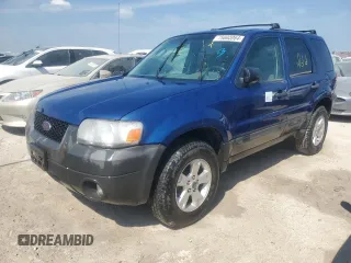 2007 Ford Escape XLT with VIN 1FMYU03117KC07213, listed as a Copart auction lot 75800064 with 0 mi miles and Non Repairable. Bid and sale history available at carsss.com. Image 1.