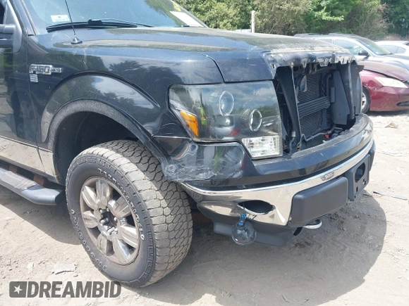2012 Ford F-150 XL with VIN 1FTFX1EF7CFA64319, listed as a IAAI auction lot 42565910 with 192,989 mi miles and . Bid and sale history available at DreamBid. Image 6.