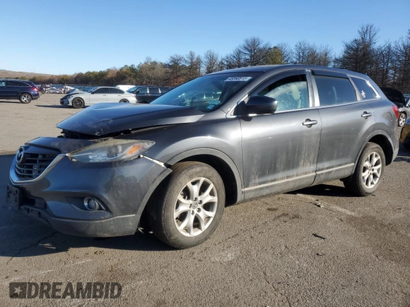 2014 Mazda CX-9 Touring with VIN JM3TB2CV0E0436923, listed as a Copart auction lot 45360515 with 116,801 mi miles and Clean Title. Bid and sale history available at carsss.com. Image 1.