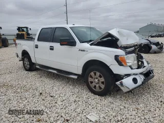 2009 Ford F-150 XL with VIN 1FTRW12859FA38350, listed as a Copart auction lot 44960265 with 145,502 mi miles and Salvage Title. Bid and sale history available at carsss.com. Image 4.