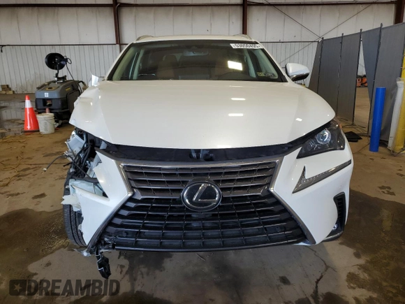2019 Lexus NX 300 with VIN JTJBARBZ6K2199341, listed as a Copart auction lot 53050495 with 59,786 mi miles and Salvage title. Bid and sale history available at DreamBid. Image 5.