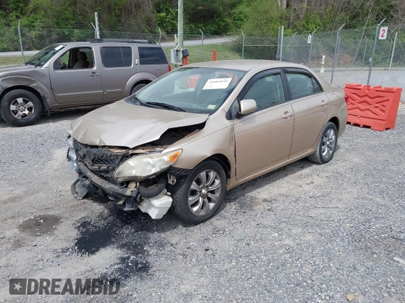 2011 Toyota Corolla L with VIN JTDBU4EEXB9147935, listed as a IAAI auction lot 42084049 with 29,573 mi miles and . Bid and sale history available at DreamBid. Image 2.