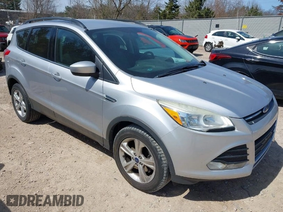 2014 Ford Escape SE with VIN 1FMCU0GX8EUC45094, listed as a IAAI auction lot 41975771 with 159,794 mi miles. Bid and sale history available at carsss.com. Image 1.