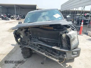 2016 Ford F-150 XLT z VIN 1FTEW1EF3GKE11169, wystawiony jako IAAI lot #42068291 z przebiegiem 204 141 mil mil oraz . Historia ofert i sprzedaży dostępna na DreamBid. Obrazek 12.