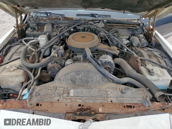 1990 Cadillac Brougham z VIN 1G6DW5473LR712137, wystawiony jako Copart lot #57914885 z przebiegiem Nie podano mil oraz Tytuł czysty. Historia ofert i sprzedaży dostępna na DreamBid. Obrazek 11.