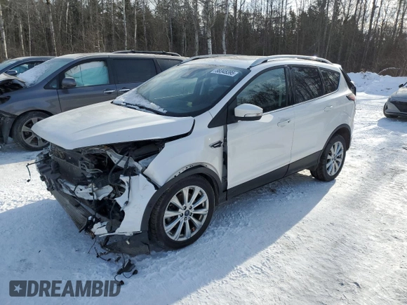 2017 Ford Escape Titanium with VIN 1FMCU9J9XHUA01661, listed as a Copart auction lot 88345395 with 79,865 mi miles and Salvage Title. Bid and sale history available at carsss.com. Image 1.