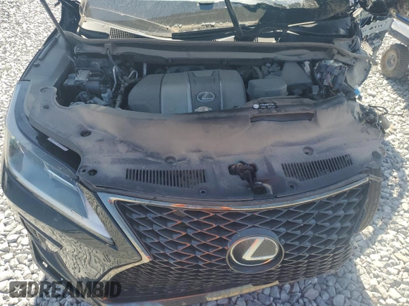 2020 Lexus RX with VIN 2T2YZMDA8LC229910, listed as a Copart auction lot 53640585 with 0 mi miles and Salvage Title. Bid and sale history available at carsss.com. Image 12.