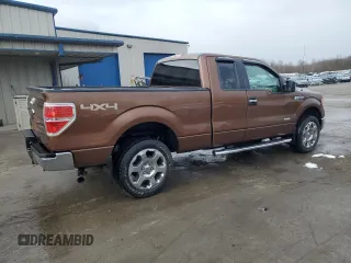 2011 Ford F-150 XL with VIN 1FTFX1ET7BKE14723, listed as a Copart auction lot 50583885 with 118,935 mi miles and Salvage Title. Bid and sale history available at DreamBid. Image 3.