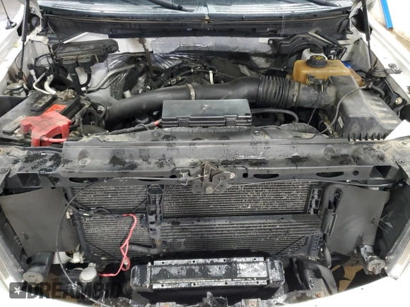 2013 Ford F-150 XL with VIN 1FTFW1ET3DFA30940, listed as a Copart auction lot 65817005 with 272,983 mi miles and Clean title. Bid and sale history available at DreamBid. Image 11.