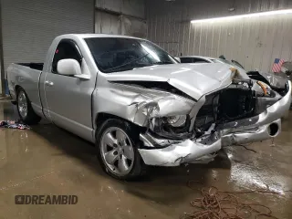2002 Dodge 1500 with VIN 1D7HA16N32J253194, listed as a Copart auction lot 43307295 with Not provided miles and Salvage title. Bid and sale history available at DreamBid. Image 4.