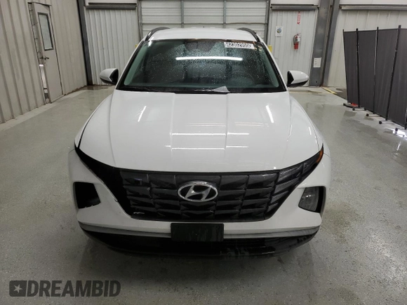 2024 Hyundai Tucson SEL with VIN 5NMJB3DE5RH299570, listed as a Copart auction lot 42302955 with 41,534 mi miles and Clean Title. Bid and sale history available at DreamBid. Image 5.