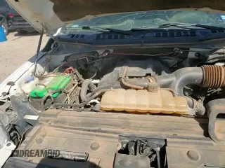 2017 Ford F-150 XL with VIN 1FTEX1EP3HKD02346, listed as a Copart auction lot 81555235 with 124,216 mi miles and Clean title. Bid and sale history available at DreamBid. Image 13.