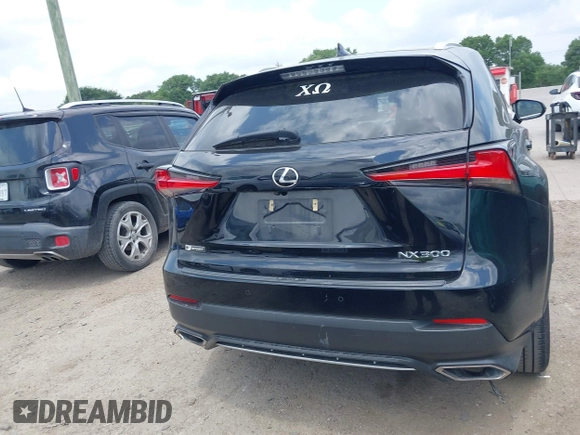 2018 Lexus NX 300 with VIN JTJYARBZ3J2104310, listed as a IAAI auction lot 42144231 with 69,608 mi miles and . Bid and sale history available at DreamBid. Image 16.