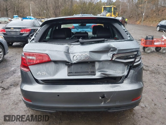 2016 Audi A3 e-tron Premium Plus with VIN WAUTPBFF5GA098055, listed as a IAAI auction lot 41704803 with 75,713 mi miles and . Bid and sale history available at DreamBid. Image 17.