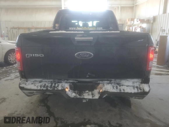 2015 Ford F-150 XLT with VIN 1FTEW1EPXFKD35666, listed as a Copart auction lot 41676415 with 182,665 mi miles and Salvage Title. Bid and sale history available at DreamBid. Image 6.