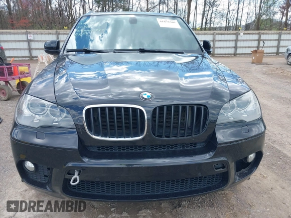 2013 BMW X5 xDrive35i z VIN 5UXZV4C51D0E11079, wystawiony jako IAAI lot #41875305 z przebiegiem 161 861 mil mil oraz . Historia ofert i sprzedaży dostępna na DreamBid. Obrazek 12.