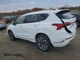 2023 Hyundai Santa Fe Calligraphy with VIN 5NMS5DAL9PH638154, listed as a Copart auction lot 77254174 with 8,565 mi miles and Salvage Title. Bid and sale history available at carsss.com. Image 2.