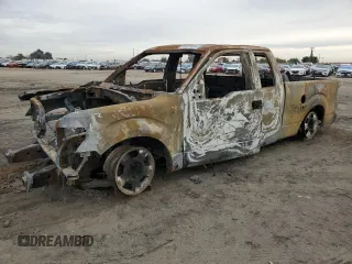 2010 Ford F-150 XL with VIN 1FTFX1CV0AFA36403, listed as a Copart auction lot 81621624 with 0 mi miles and Non Repairable. Bid and sale history available at carsss.com. Image 1.